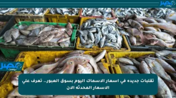 تقلبات جديدة في أسعار الأسماك اليوم بسوق العبور.. تعرف على الأسعار المحدثة الآن